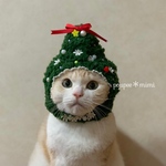 もこもこクリスマスツリー🎄