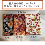 樋貝様専用ページです。他の方は購入されないでくださいね　　秋の紅葉柄①②③マスク