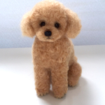n様専用 リクエスト品【トイプードル アプリコット】