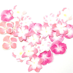 21枚☆ピンク色紫陽花シール