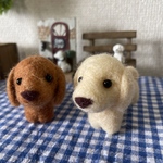 羊毛フェルト♡ミニミニ仲良しダックスちゃん♪