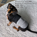ｼﾙｸﾒﾗﾝｼﾞ ﾜﾝちゃん(超/小型犬)用 腹巻き S/M