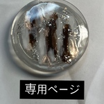 専用ページ♡
