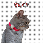 🌰どんぐり🌰猫ちゃん子犬ちゃんの首輪