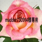 madder730914様専用品