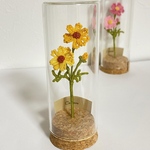 コスモス【ガラスボトルのお花たち】