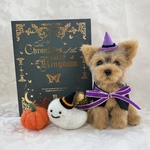ヨーキーちゃんのハロウィンbook🎃