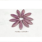 (20個入) チェコ ダガー  (約5×16mm) 【ヴァイオレットラスター】　商品番号0505199459146