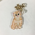 マスク・ファスナーチャーム　うちの子　可愛い猫ちゃん