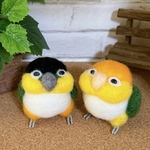 　羊毛フェルト　シロハラインコ　ズグロシロハラインコ
