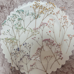 かすみ草 押し花