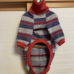 イタグレ服