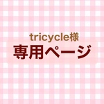 専用ページ