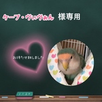 【Ｌｻｲｽﾞ】リバーシブルCHANGEテント(バードテント)