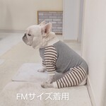 新型FBロンパース・2022【 ボーダー柄 】