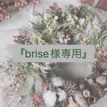 『brise様専用』ページ