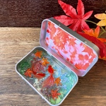 KINGYO CAN(金魚缶)★premium～紅葉2022(お写真のものをお届けします)