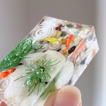 【10/2 21 時〜販売予定】水槽金魚〜長方体(お写真のものをお届けします)
