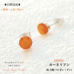 🍁秋色🌾【高品質】カーネリアン✨サージカルステンレス✨極上ファセットCut💫ジュエリー天然石ピアス🎀