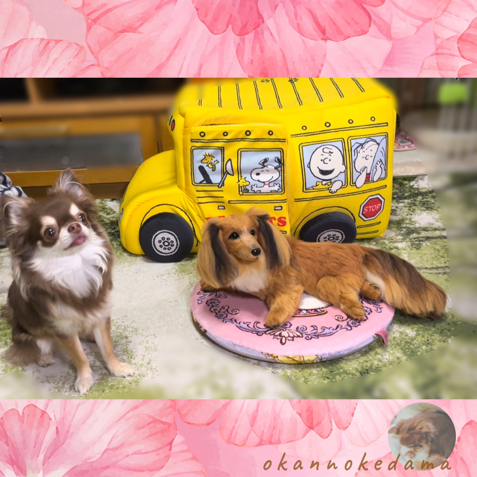 3D犬 ダックス オーダーメイド 羊毛フェルト 犬 - OKAN-0720'S GALLERY