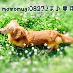 momo mugiさま♪専用