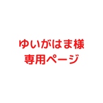 ゆいがはま様専用ページ(ポニーフック２つ)