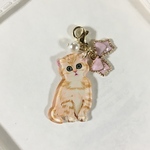 うちの子　可愛い猫ちゃん