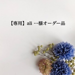 【専用】ali …様オーダー品　