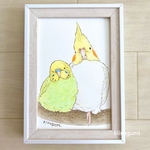 送料込み☆インコちゃん原画（オカメインコ&セキセイインコ）