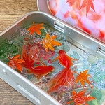 【10/16 21 時〜販売予定】 KINGYO CAN(金魚缶)★premium～紅葉2022(お写真のものをお届けします)