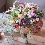 うさぎの虹色カレン花束植えギャザリング