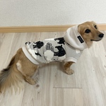 犬服【バク柄▪️▫️パーカー】