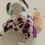 aibo お祝い着物袴