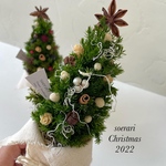 【特集掲載】【再再再販】小さな森のクリスマスツリー  クリスマスアレンジ★白ver.