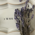 y様専用  ピアス2点