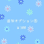 追加オプション④