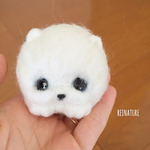 ポメラニアンの赤ちゃん♡伏せバージョン