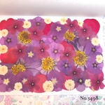 ♡new♡作家様必見♡押し花MIXセット♡押し花セット