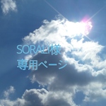 SORALI様専用ページ
