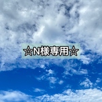 ⭐︎A様専用⭐︎