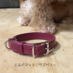 ※オーダー製作※ 本革　犬首輪　チョーカー