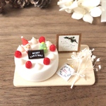 ミニチュアスイーツ クリスマスケーキセット✩.*˚littlepear