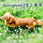 kaorialemilさま♪専用