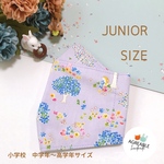 🌳 森の動物たち 舟形マスク 大臣マスク 小学生マスク ジュニアマスク