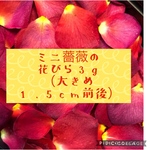 専用出品★ミニ薔薇の花びら3gセット★大きめ1.5cm前後の花弁が中心です★ミニバラ ドライフラワー花材★ハンドメイド素材★