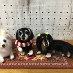 オーダー品（愛犬3体❣️）
