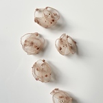 ◎新作◎【2pcs beige#50-16】dot chiffon flower charm
