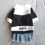 犬服！太ボーダー！ニコちゃん！デニムスカート