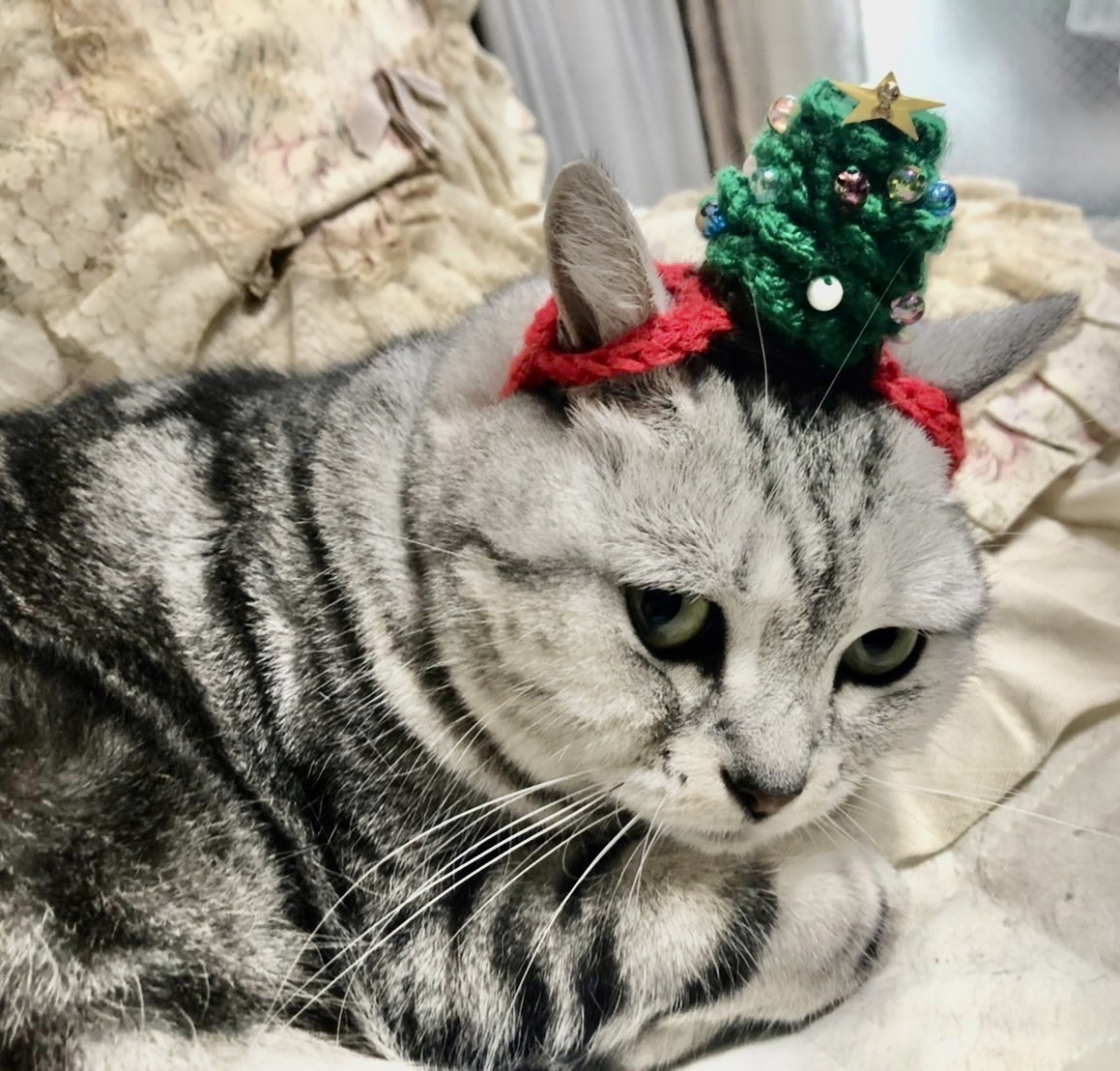 レジン パーツ 猫だるまちゃん Xmas レジン パーツ 猫だるまちゃん Xmas