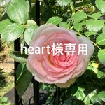 heart様専用品